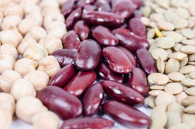 white vs red kidney beans