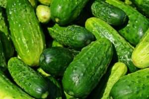 Nutrition Facts of Mini Cucumbers