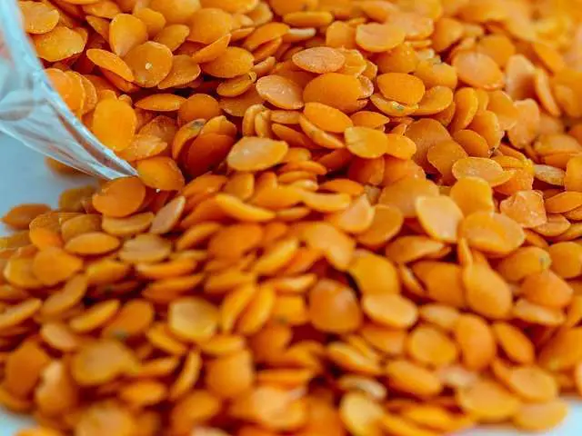 nutrition facts of red lentils