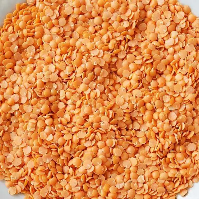 nutrition facts of red lentils