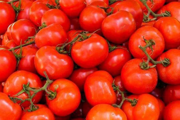 nutrition facts of tomato